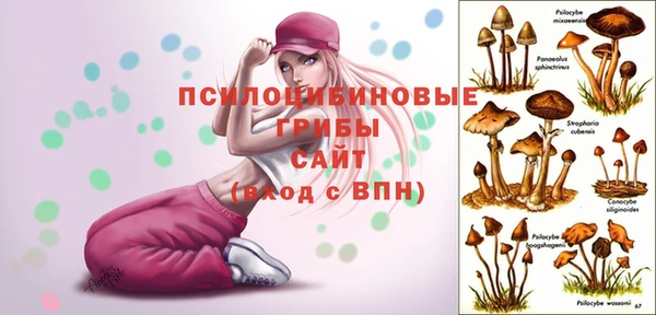 spice Алзамай